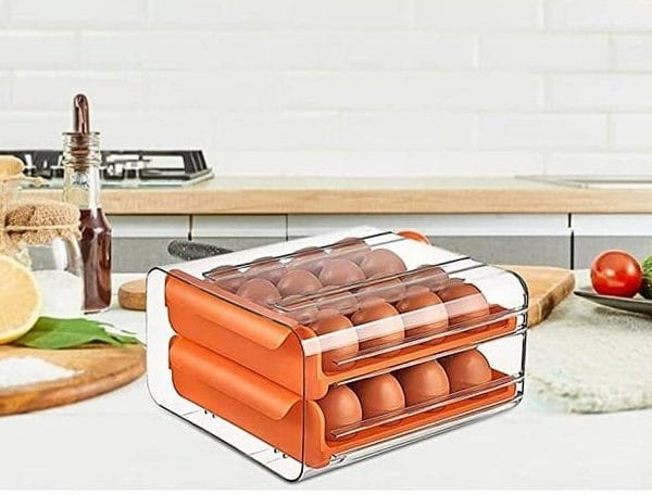 ORGANIZADOR DE HUEVOS